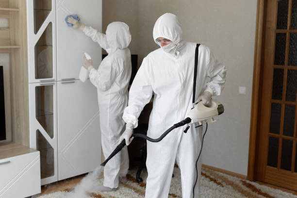 24/7 Emergency Odor Removal experts in Kingston, PA
